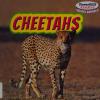 Cover image of Cheetahs