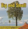 Cover image of Big and small