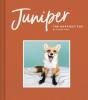 Cover image of Juniper, the happiest fox