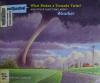 Cover image of What makes a tornado twist?