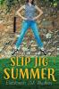 Cover image of Slip jig summer