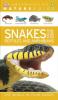 Cover image of Snakes and other reptiles and amphibians