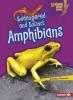 Cover image of Endangered and extinct amphibians