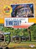 Cover image of What's great about Tennessee?