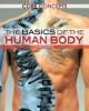 Cover image of The basics of the human body