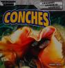 Cover image of Conches