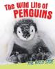 Cover image of The wild life of penguins