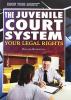 Cover image of The juvenile court system