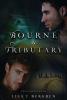 Cover image of Bourne & Tributary