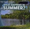 Cover image of What happens in summer?