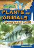 Cover image of Plants and animals of the Great Lakes
