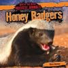 Cover image of Honey badgers