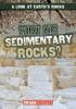Cover image of What are sedimentary rocks?