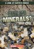 Cover image of What are minerals?
