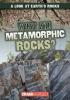 Cover image of What are metamorphic rocks?