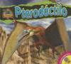 Cover image of Pteroda?ctilo