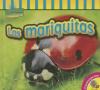 Cover image of Las mariquitas
