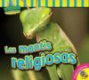 Cover image of Las mantis religiosas