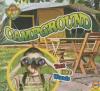 Cover image of Campground