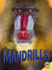Cover image of Mandrills