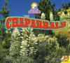 Cover image of Chaparrals