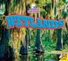 Cover image of Wetlands