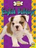 Cover image of English bulldogs