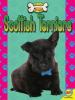 Cover image of Scottish terriers