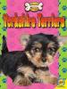 Cover image of Yorkshire terriers