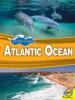 Cover image of Atlantic Ocean