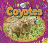 Cover image of Coyotes