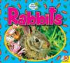 Cover image of Rabbits