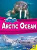 Cover image of Arctic Ocean