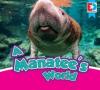 Cover image of A manatee's world