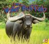 Cover image of I am a water buffalo