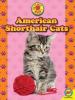 Cover image of American shorthair cats