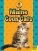 Cover image of Maine coon cats