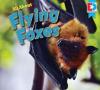 Cover image of All about flying foxes