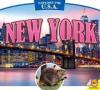 Cover image of New York