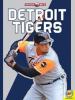 Cover image of Detroit Tigers