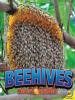 Cover image of Beehives