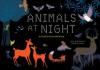 Cover image of Animals at night