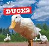 Cover image of Ducks