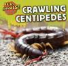 Cover image of Crawling centipedes