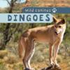Cover image of Dingoes