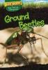 Cover image of Ground beetles