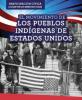 Cover image of El movimiento de los pueblos indi??genas de Estados Unidos