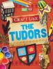 Cover image of Craft like the Tudors