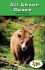 Cover image of All about bears