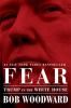 Cover image of Fear